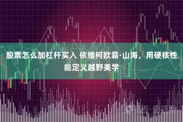 股票怎么加杠杆买入 依维柯欧霸·山海，用硬核性能定义越野美学