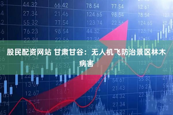 股民配资网站 甘肃甘谷：无人机飞防治景区林木病害